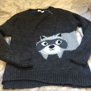 Raccoon woolen sweater